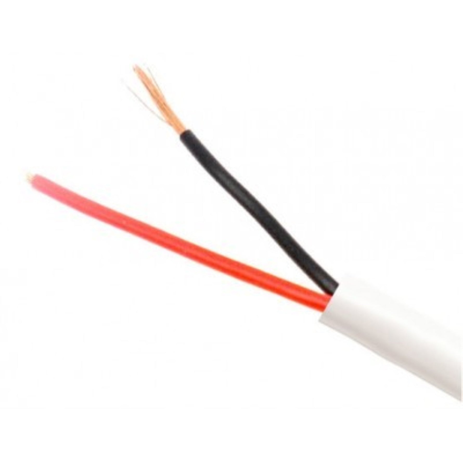 Câbles d'enceinte 18 AWG, 2 conducteurs, 152 m, pour installation murale, gaine en PVC classée CM