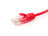 1 ft (30 cm) CAT6 500 MHz UTP Network Cable (Red)